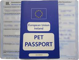 In the european union, you can get an actual pet passport that remains valid for the life of your pet, as long as you keep their rabies vaccinations up to date. Pet Passport