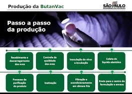The potential new vaccine, butanvac, was first reported by brazilian newspaper folha de s. Tcj57m Dkdqqgm