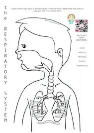 This Interactive Handout And Colouring Page Can Directly Be Used In An Esl Or Clil Class But It Also Supp Childrens Learning Respiratory System Coloring Pages