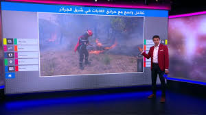 Huge collection, amazing choice, 100+ million high quality, affordable rf and rm images. Algeria Official And Popular Attempts To Set Fire To Khanchela S Jungle Bbc News Arabic Jnews