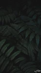 Pin On Wallpapers