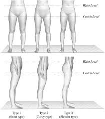 Female lower body parts diagram ~ diagram from i.pinimg.com i made this basic guide for male and female body proportions according to andrew loomis for myself, but download diagram showing anatomy of human body vector art. 3d Shapes Of Three Lower Body Types Download Scientific Diagram