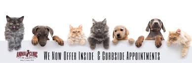 Explore virtual care and search by postal code, city or province Animal Clinic Of Verona 1 Veterinary Practice In Augusta County
