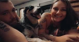 Lost Dog Bandit in Six Mile Lane/Mameroneck Rd Area