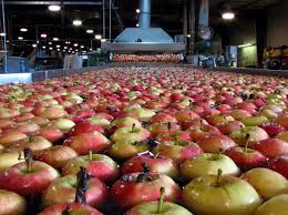 North carolina food taste test. The Right Ingredients North Carolina S Food Beverage Industry Economic Development Partnership Of North Carolina