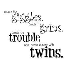 Birthday Wishes For Twins Baby Boys Twin Quotes Google Search Twin Quotes Twin Quotes Funny Twins Birthday Quotes