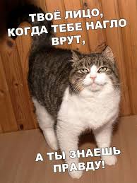 что делать если человек врет а ты знаешь правду Kartinki Raznye Nuzhny Kartinki Raznye Vazhny Yaplakal