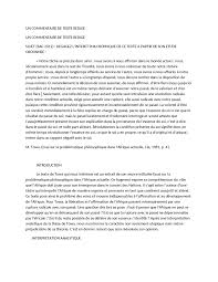 Commentaire compose afrique mon afrique coup de pilon. Exemple De Commentaire Philosophique Redige Docsity