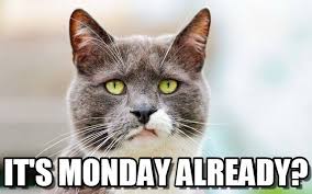 You're either for mondays or you're against them. Monday Meme Latest Collection To Start You Week With Fresh Mood