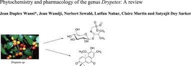 Image result for Drypetes gerrardii