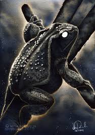 Image result for toad gods