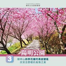 The website collected by this website comes from the. é™½æ˜Žå±±æ«»èŠ±å­£å¿…è³ž 4å¤§æœ€ä½³è³žæ«»ç§˜å¢ƒ ä¸è—ç§å¸¶ä½ çœ‹ é™½æ˜Žå±±æ°´æº«æ³‰æœƒé¤¨ 100 å¤©ç„¶ç™½ç£ºæº«æ³‰