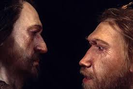 L'uomo di neanderthal deve il suo nome alla località in cui furono rinvenuti i primi resti, la valle del neander presso düsseldorf, in germania, nel 1856. Sapiens E Neandertal La Storia Di Un Incrocio