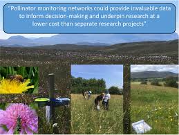 It is a beautiful plant and grows more the shape of a hybrid tea, rather than a floribunda. Pollinator Monitoring More Than Pays For Itself Breeze 2021 Journal Of Applied Ecology Wiley Online Library