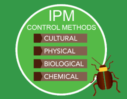 Control is best achieved with cultural and management practices, consistent with ipm. New Update Mechanical Methods Of Integrated Pest Management Ipm With Advantages And Limitations