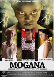 PILI PILI ENTERTAINMENT COMPANY LIMITED: May 2013