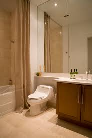 This display shelf is a perfect way to show paintings, photos and other favorite items. Toilet Ledge Houzz