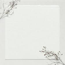 Off White Background Psd Dry Branch Border Free Image By Rawpixel Com Nun White Background Wallpaper Gold Wallpaper Background White Background With Design