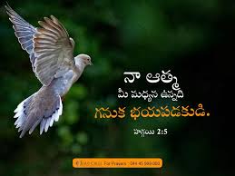 Mp3 bible 10 commandments learn bible in 24 hours 40 spiritual lessons alpha foundations bible commentaries book of mormon temple study red letters divine healing training god story gap theory creation to christ book of john kids bible cartoons 200 jesus pics. Today S Promise Jesus Calls Bible Quotes Prayer Beautiful Bible Quotes Bible Verse Pictures