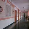 Facultatea de literatură și studii culturale. 1