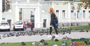 В украине ослабили карантин в красных зонах, но в харькове с 10 апреля усилят карантинные ограничения. Harkov V Krasnoj Zone Karantina