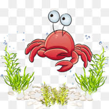 Gambar mewarnai pemandangan dalam laut gambar mewarnai via mewarnai.website. Kehidupan Laut Kartun Unduh Gratis Kehidupan Laut Kartun Royalty Free Clip Art Dunia Laut Kehidupan Laut Kartun Kepiting Gambar Png