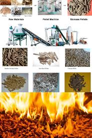 Biomass Pellets Also Called Wood Pellets Pellet Fuel Wood Pellets Energy Wood
