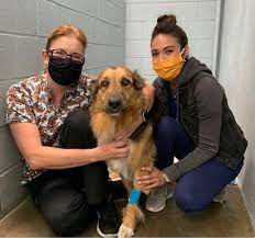 Visit temple city animal hospital in san gabriel, ca and save 25% on your vet bill with a pet plan by pet assure. Temple City Animal Hospital 157 Photos 289 Reviews Veterinarians 5406 Rosemead Blvd San Gabriel Ca Phone Number Yelp