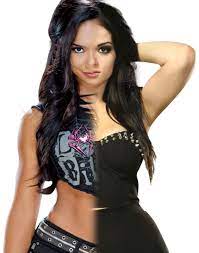 Aj Lee And Paige Aj Lee Nxt Divas Paige