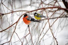 Roditelskaya Subbota 6 Marta 2021 Chto Nelzya Delat