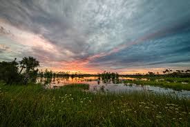When you fly in february from the cold state of maryland to south florida. Orlando Wetlands Park Wheeler Road Christmas Fl Usa Sunrise Sunset Times
