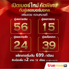 หวยไทยรัฐ เลขเด็ดงวดนี้ หวยเดลินิวส์ บ้านเมือง หวยซองอื่นๆ แบ่งปันแนวทางล็อตเตอรี่ไทย Truemove H