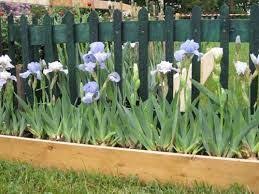 Resultat De Recherche D Images Pour Bordure Planche Bois Bordure Jardin Deco Exterieure Jardins