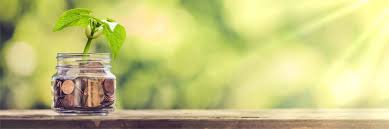 For wisdom is protection just as money is protection, Top 5 Things Young Adults Grads Can Do For Their Finances My Money Coach