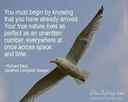 I was skeptical at first because of if you are a sucker for quotes like me and its possible integration in life, then read on! 12 Jonathan Livingston Seagull Ideas Jonathan Livingston Seagull Livingston Seagull