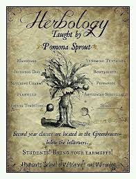 Jul 11, 2017 · herbology class at hogwarts is the study of magical plants and fungi, including their care and their magical properties and uses. Harry Potter Printables Harry Potter Potter