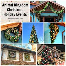 Get the details on celebarting christmas in disney world, such as when disney world christmas decorations go up, plus lots of tips and tricks! Disney S Animal Kingdom Christmas Holiday Events Walt Disney World