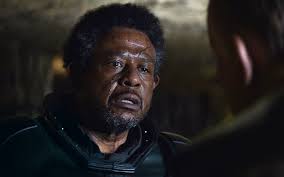 The Best Books, Film, TV, Art, and More Coming to Texas This Fall