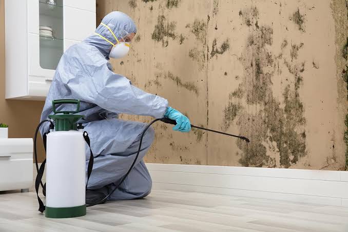 Basement Mold Removal warning signs