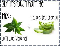 Aloe Vera Tea Tree Oil Diy Ingrown Hair Remover Diy Ingrownhairs Ingrown Hair Tea Tree Oil Ingrown Hair Removal