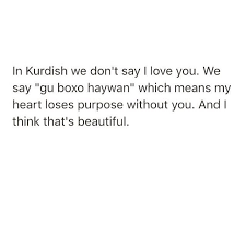So Beautiful Kurdish Quotes D Kurdische Spruche Kurdische Zitate Spruche Zitate