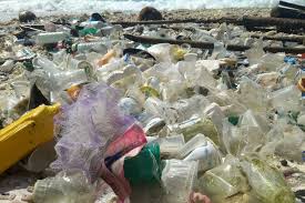 Untuk digunakan gratis ✓ tidak ada atribut yang di perlukan ✓. Australia Dan New Zealand Pilih Malaysia Sebagai Pusat Longgok Sisa Plastik