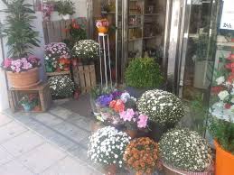 Decorama-Decoflor