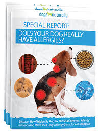 How can i stop my dogs from itching? Natural Solutions For An Itchy Dog