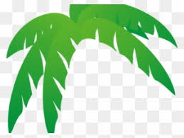 Polish your personal project or design with these palm leaf transparent png images, make it even more personalized and more attractive. Palm Tree Clipart Leaves Palm Frond Palm Tree Leaf Free Transparent Png Clipart Images Download