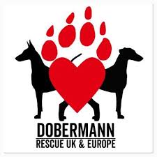 Fully read and understand the checklist below before they visit the puppy. Dobermann Rescue Uk Ukrescue Twitter