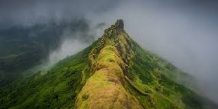 Sewri Fort: Immerse Yourself In The ...