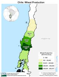 Chile google map is your free source of driving directions (route planner), printable maps & country information. Chile Crop Production Maps