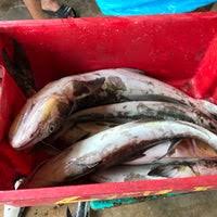 Wisma lkim, pulau meranti (jalan desaria) 47120 puchong, selangor malaysia. Kompleks Lembaga Kemajuan Ikan Malaysia Lkim Kuala Kemaman