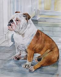 At this time catherine anderson's pet portraits are available exclusively by commission. Watercolor Pet Portraits Paint Your Life